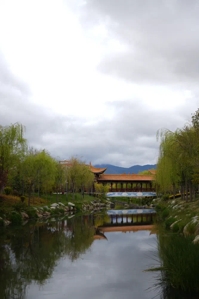 DSC01076.jpg