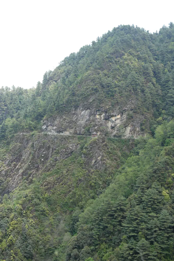 DSC01346.jpg
