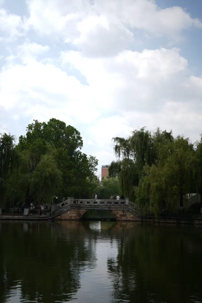 DSC01412.jpg