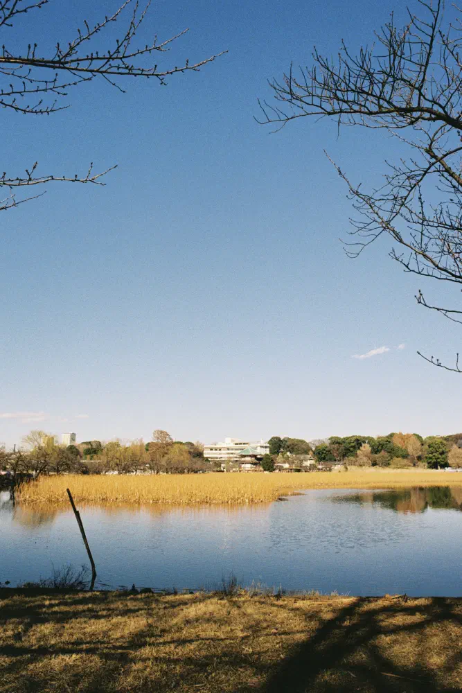 IMG_7819.JPG